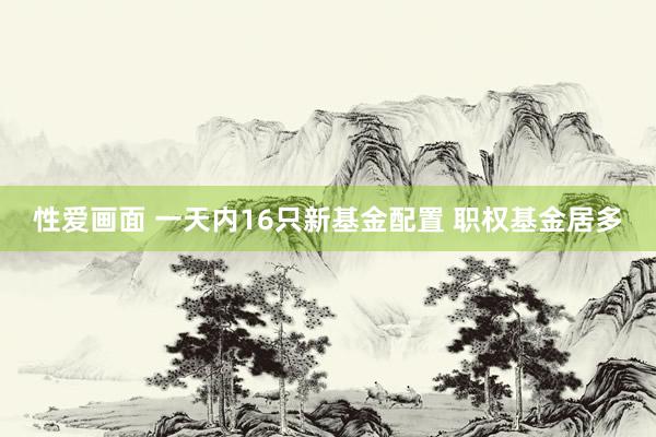 性爱画面 一天内16只新基金配置 职权基金居多