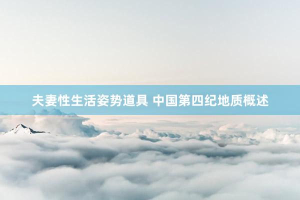 夫妻性生活姿势道具 中国第四纪地质概述