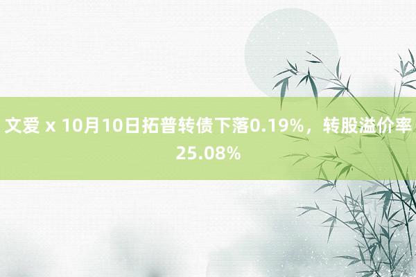 文爱 x 10月10日拓普转债下落0.19%，转股溢价率25.08%