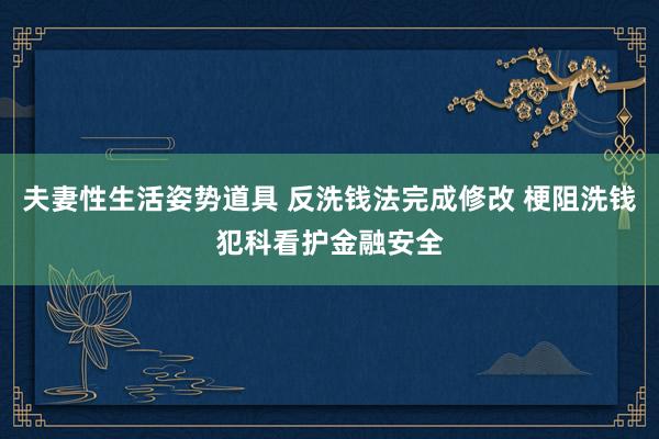 夫妻性生活姿势道具 反洗钱法完成修改 梗阻洗钱犯科看护金融安全