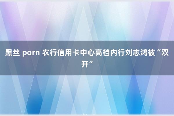 黑丝 porn 农行信用卡中心高档内行刘志鸿被“双开”