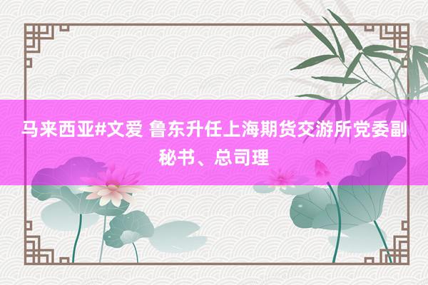 马来西亚#文爱 鲁东升任上海期货交游所党委副秘书、总司理