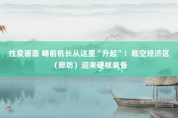 性爱画面 畴前机长从这里“升起”！临空经济区（廊坊）迎来硬核装备