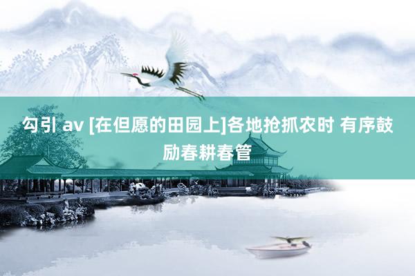 勾引 av [在但愿的田园上]各地抢抓农时 有序鼓励春耕春管
